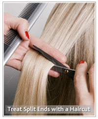 Blonde hair being cut