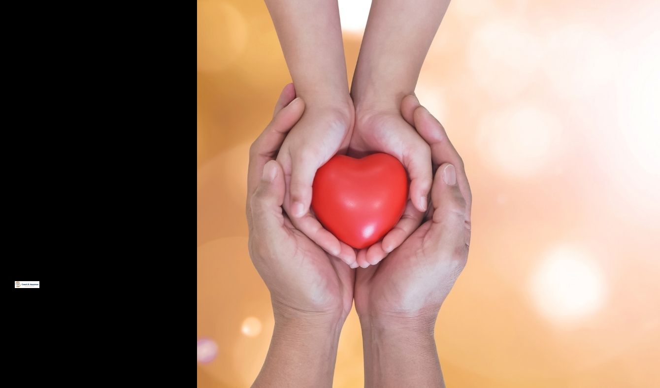 insurance quotes life term