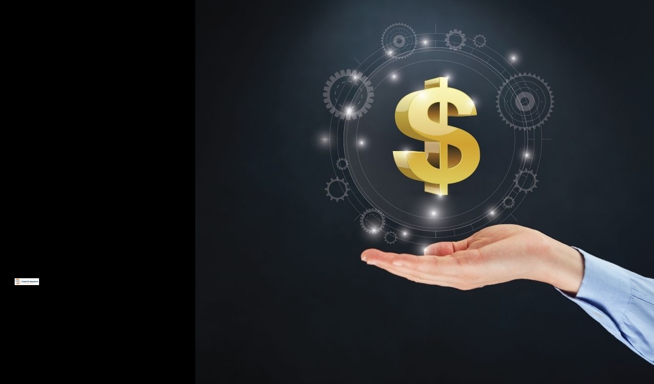 level premium term life insurance policies