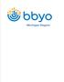 New%20bbyo_logo%20mchigan%20region