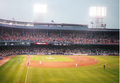 Tiger%20stadium