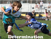 Determination