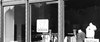 Window_bw
