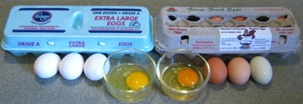 Gourmet Pasture Eggs. The