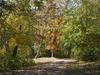 1418 James Ct, Swisher