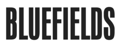 Large Logo