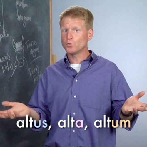 Visual Latin Screenshot
