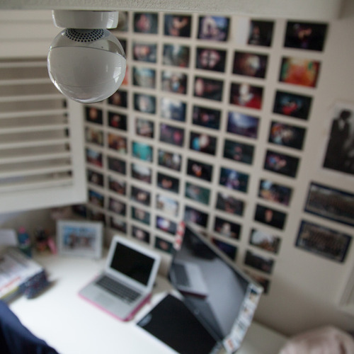 Camera in situ 3