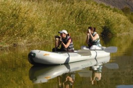 Orange River image