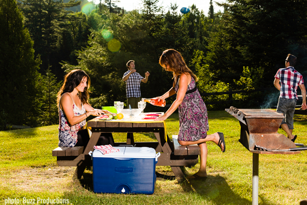 aire pique-nique shewenegan parc mauricie