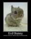 Hellbuny