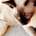 Icon_comment