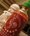 Srirasha_comment