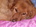 100_0780_comment