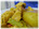Cider_chicken_comment
