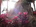 Dsc00009_comment