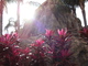 Stress1011_1969