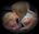 Sister_kisses_comment
