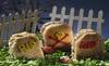 Final_20graveyard_20sandwich_20tray_20_thumb
