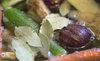 20090924-img_3318_thumb