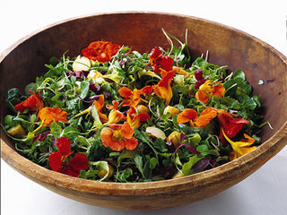 Beet_medium