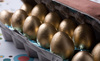 2008_03_12-goldeneggs2_thumb
