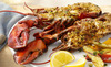 Fnm080109we020_s4x3_lg_thumb