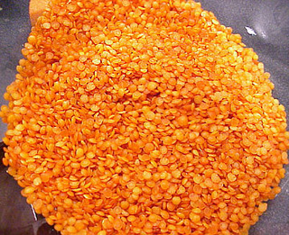 Redlentils_1__medium