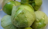 Tomatillos2_thumb