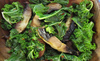 Spicy_mushrooms___kale_thumb
