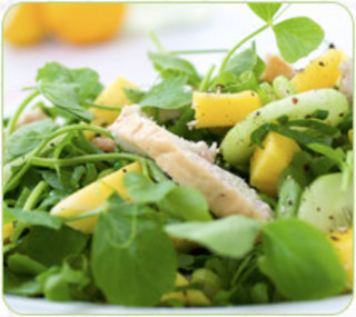 Rhs-mango-and-smoked-chicken-salad_medium