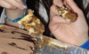 Dsc00748_thumb