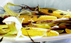 Grilled-corn-on-the-cob-with-herbs_thumb