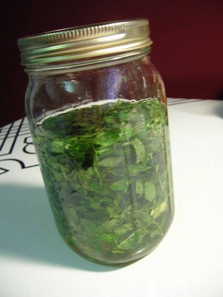 Herb-infused-oil_medium