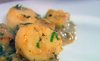 Ig0901-scallops-provencal_e_thumb