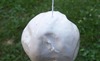 100_3490_thumb
