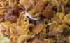 Im001009_thumb