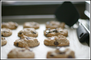 Cookies_medium