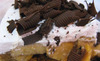 Banofee_pie_1__thumb