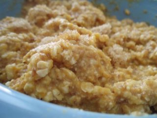 Pumpkin_oatmeal_medium