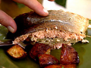 Ig1a06_salmon_fennel_med_medium