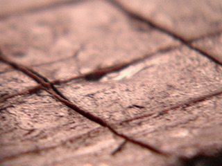 Nl0208_chocolate_pistachio_fudge_lg_medium