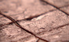 Nl0208_chocolate_pistachio_fudge_lg_thumb