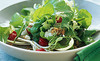 Salad_thumb
