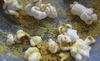 Popcorn_thumb