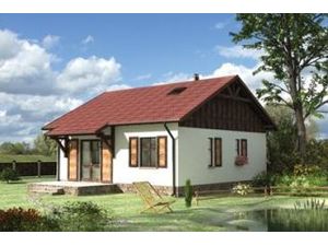 Czyżyk (szkielet)