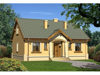 Widok ogólny