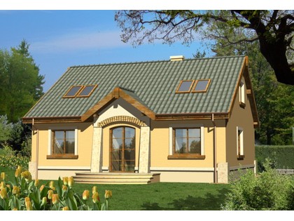 Widok ogólny