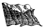 73159277
