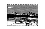 74195252